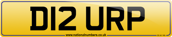 D12 URP