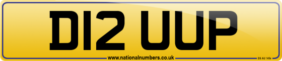 D12 UUP