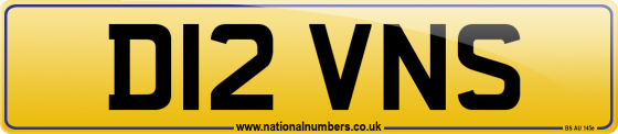 D12 VNS