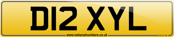 D12 XYL