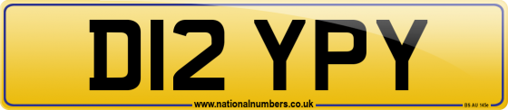 D12 YPY