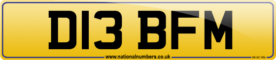 D13 BFM