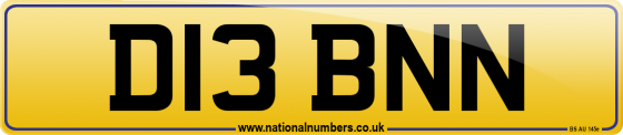 D13 BNN