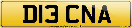 D13 CNA