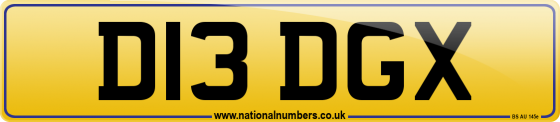 D13 DGX