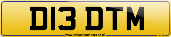 D13 DTM
