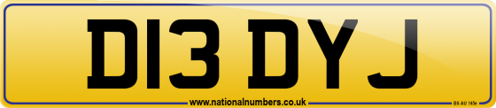 D13 DYJ