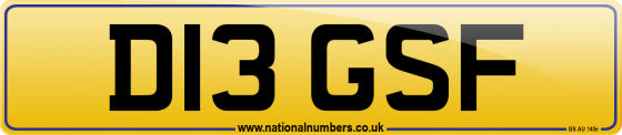 D13 GSF