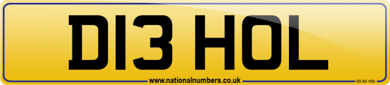 D13 HOL