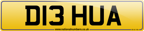 D13 HUA