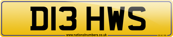 D13 HWS