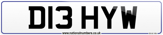 D13 HYW
