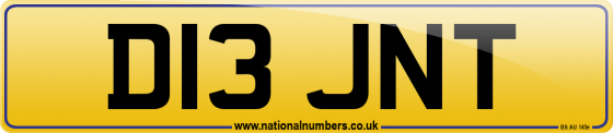 D13 JNT