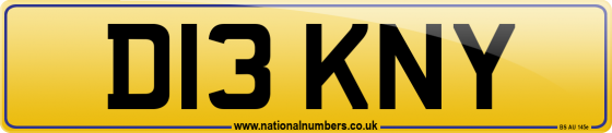 D13 KNY