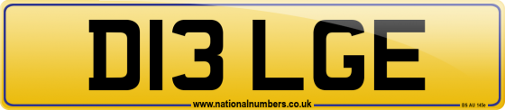D13 LGE