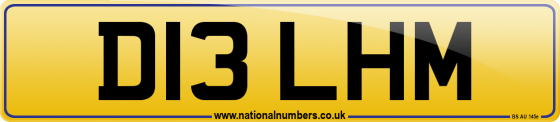 D13 LHM