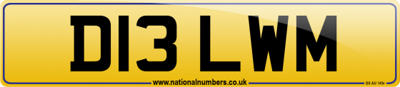 D13 LWM