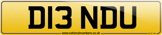 D13 NDU