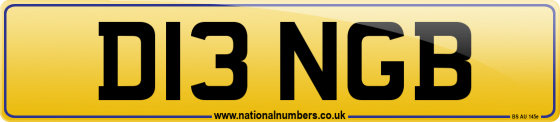 D13 NGB