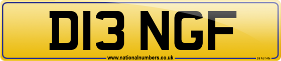 D13 NGF