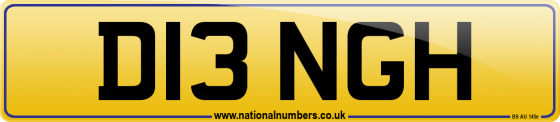 D13 NGH