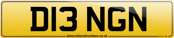 D13 NGN
