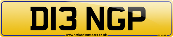 D13 NGP