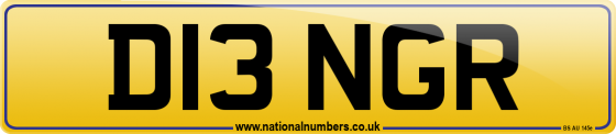 D13 NGR