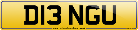 D13 NGU