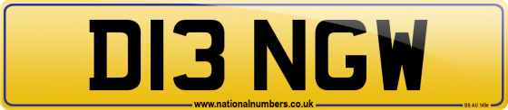 D13 NGW