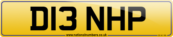 D13 NHP