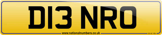 D13 NRO