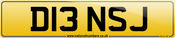 D13 NSJ