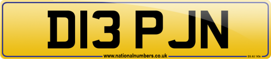 D13 PJN