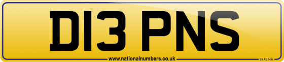 D13 PNS