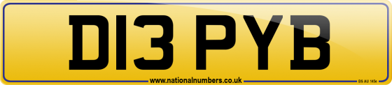 D13 PYB