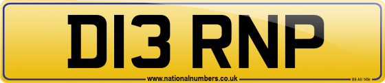 D13 RNP