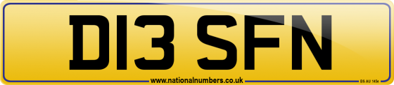D13 SFN