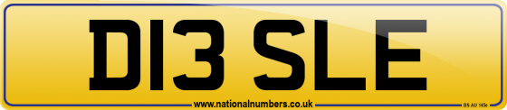D13 SLE