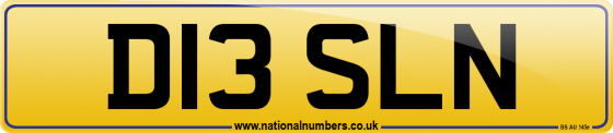 D13 SLN