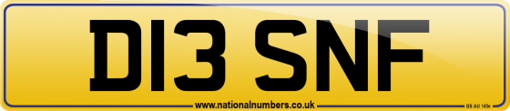 D13 SNF