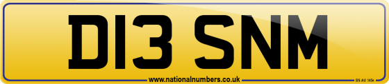 D13 SNM