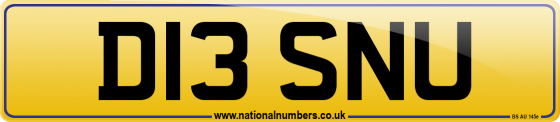D13 SNU