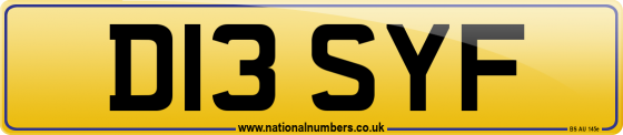 D13 SYF