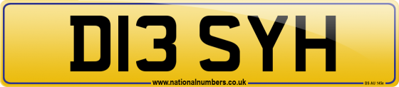 D13 SYH