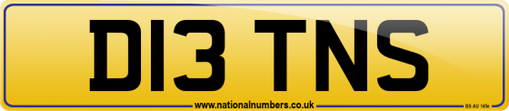 D13 TNS