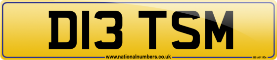 D13 TSM