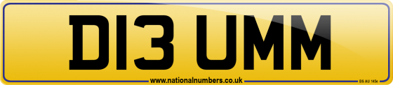 D13 UMM