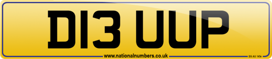 D13 UUP
