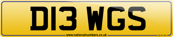 D13 WGS